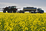 Farmer loads a sprayer with fungicide and water