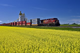 A train carrying containers passes a canola field and inland grain terminal