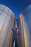 Grain storage bins