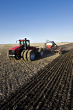 Air till seeder planting grain