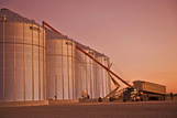 Storing grain during the harvest 