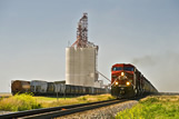 Train pulling rail hopper cars, inland grain terminal, Gull Lake