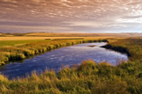 Prairie slough, near Kamsack