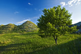 Landscape near Roche Percee