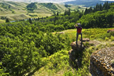 Hiker, Cypress Hills Interprovincial Park