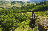 Hiker, Cypress Hills Interprovincial Park