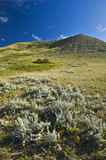 Cypress Hills Interprovincial Park